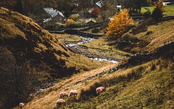 Enjoyable place for dining